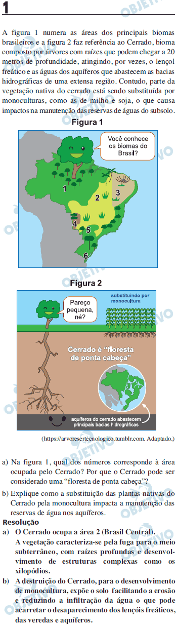 Resolução Comentada - Questão 01