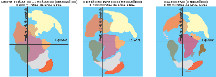 Era Mesozóica e Cenozóica