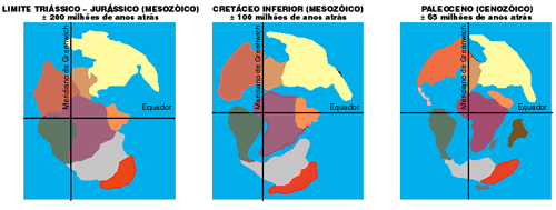 Era Mesozóica e Cenozóica Era Mesozóica e Cenozóica