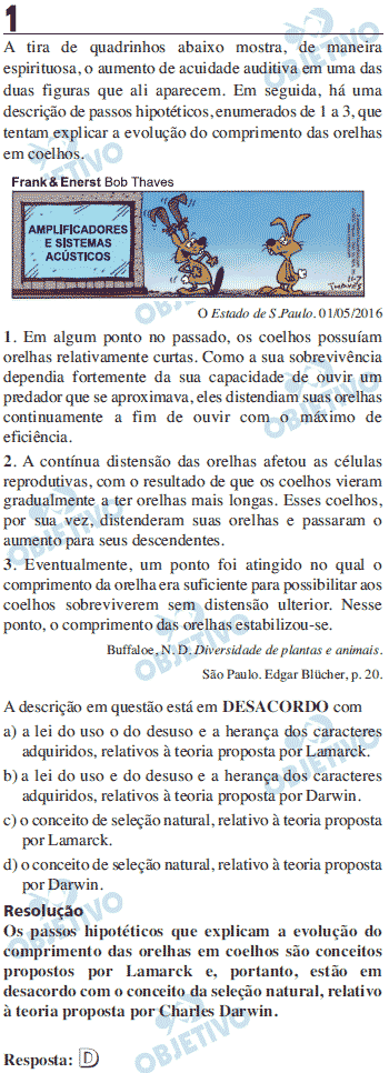 Resolução Comentada - Questão 01