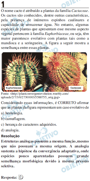 Resolução Comentada - Questão 01
