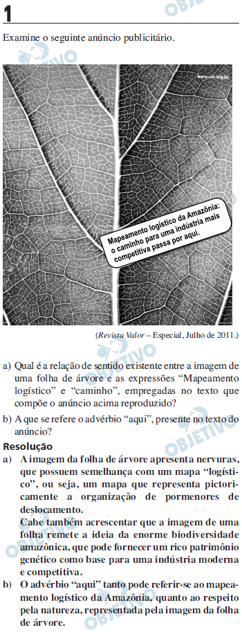 Resolução Comentada - Questão 01