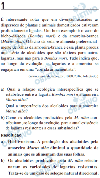 Resolução Comentada - Questão 01